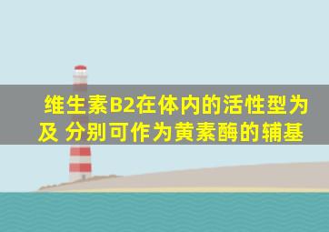 维生素B2在体内的活性型为 及 分别可作为黄素酶的辅基